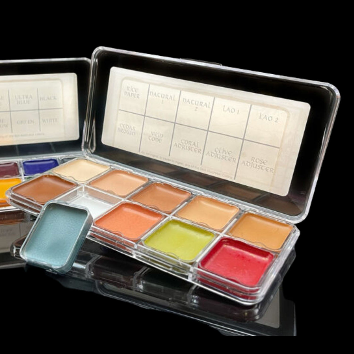 Skin Illustrator Cell Flesh Tone Palette – PPI Premiere Products Inc.
