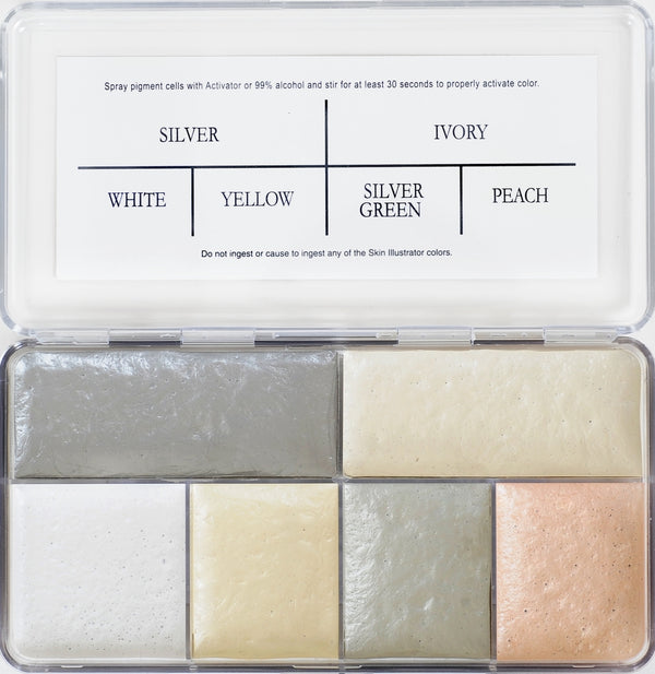 Hair Illustrator Aging Palette