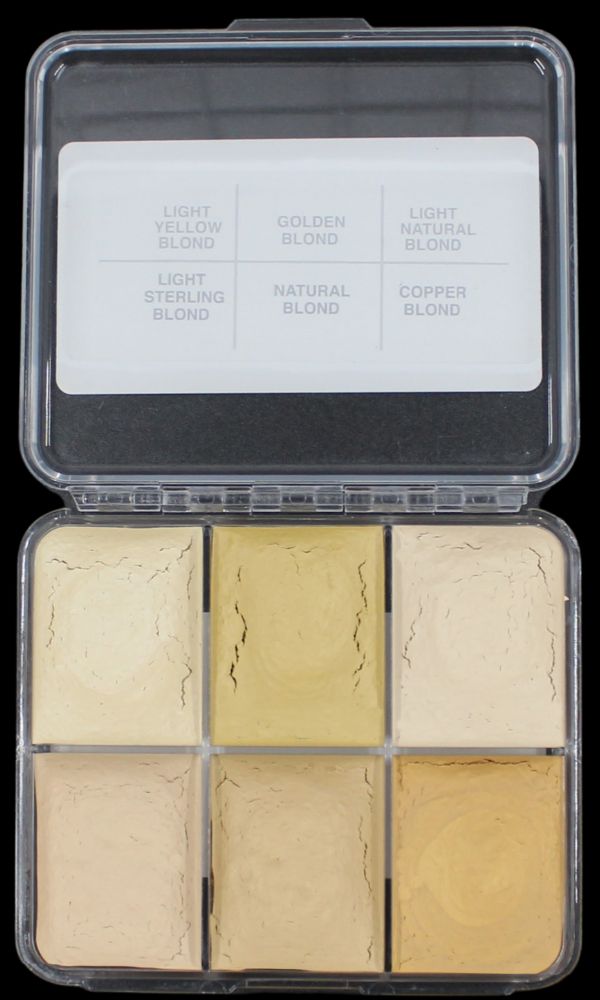 Hair Illustrator On Set Warm Blond Palette